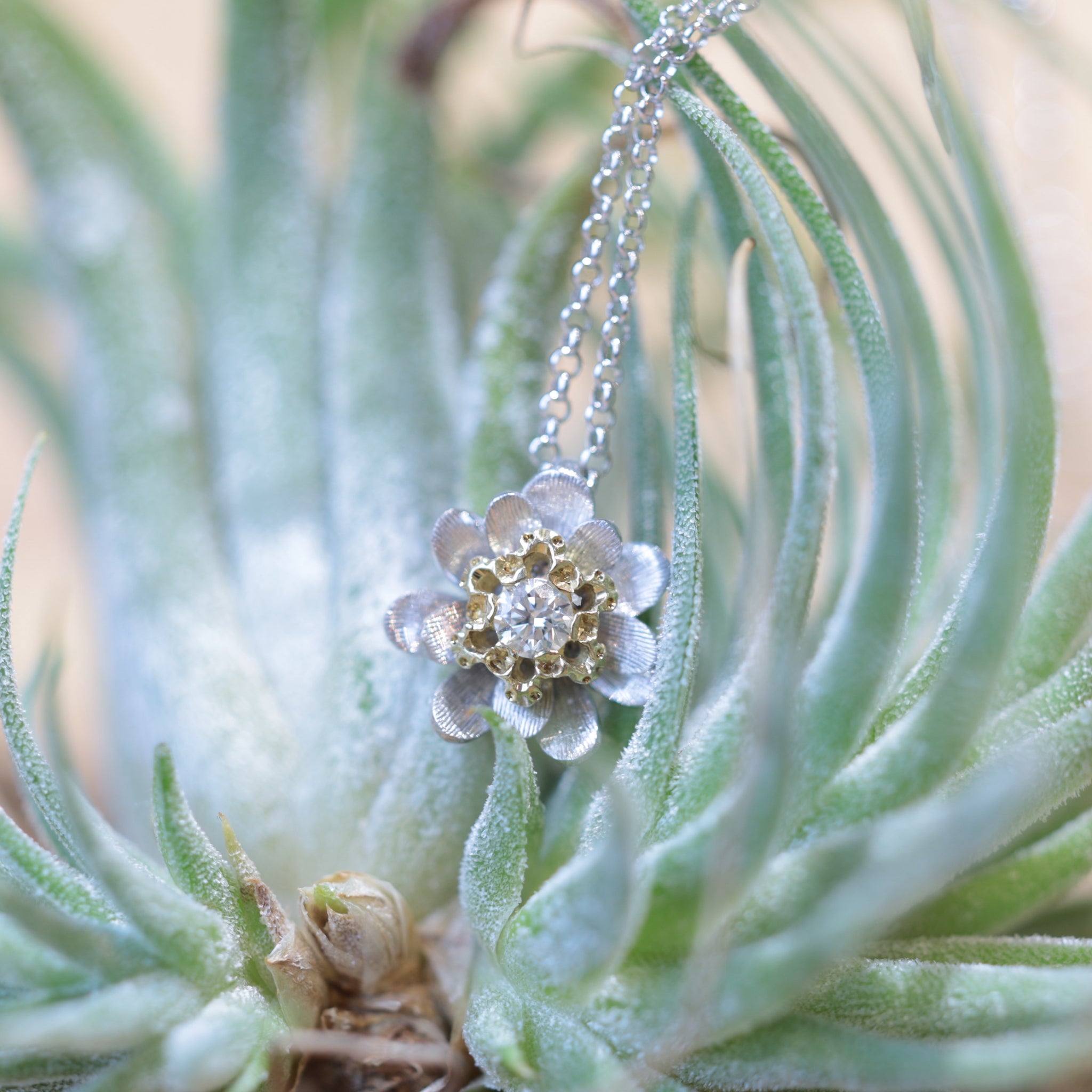 ダイヤネックレス 花モチーフ K18WG／K18 0.07ct – Atelier Bienra